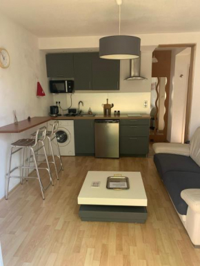 Beau T2 meublé récent